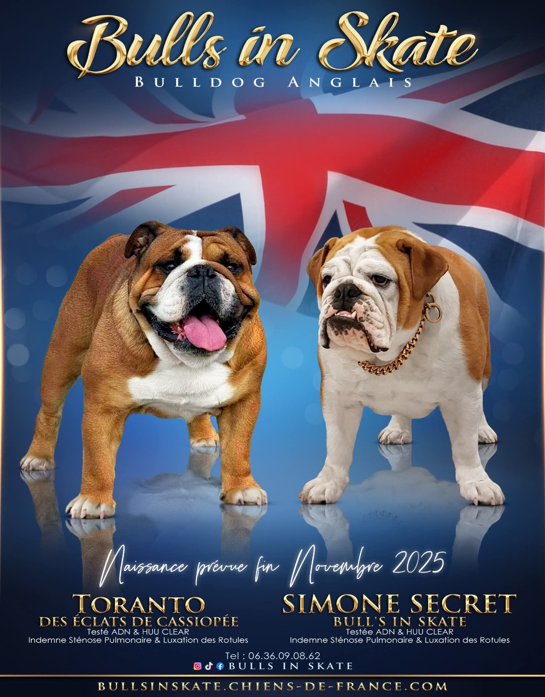 CONFIRMATION DE GESTATION SIMONE